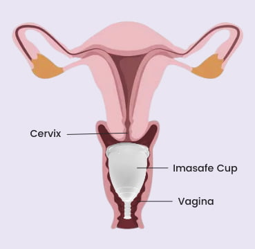 menstrual-cup-position