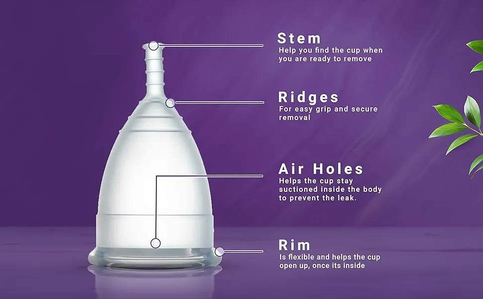 steam-sterilizer (2)